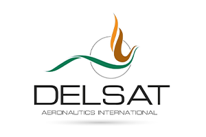 Logo DELSAT Aeronautics