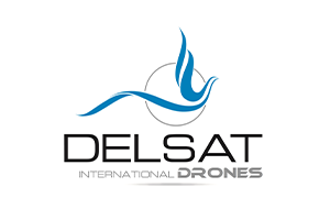 DELSAT logo